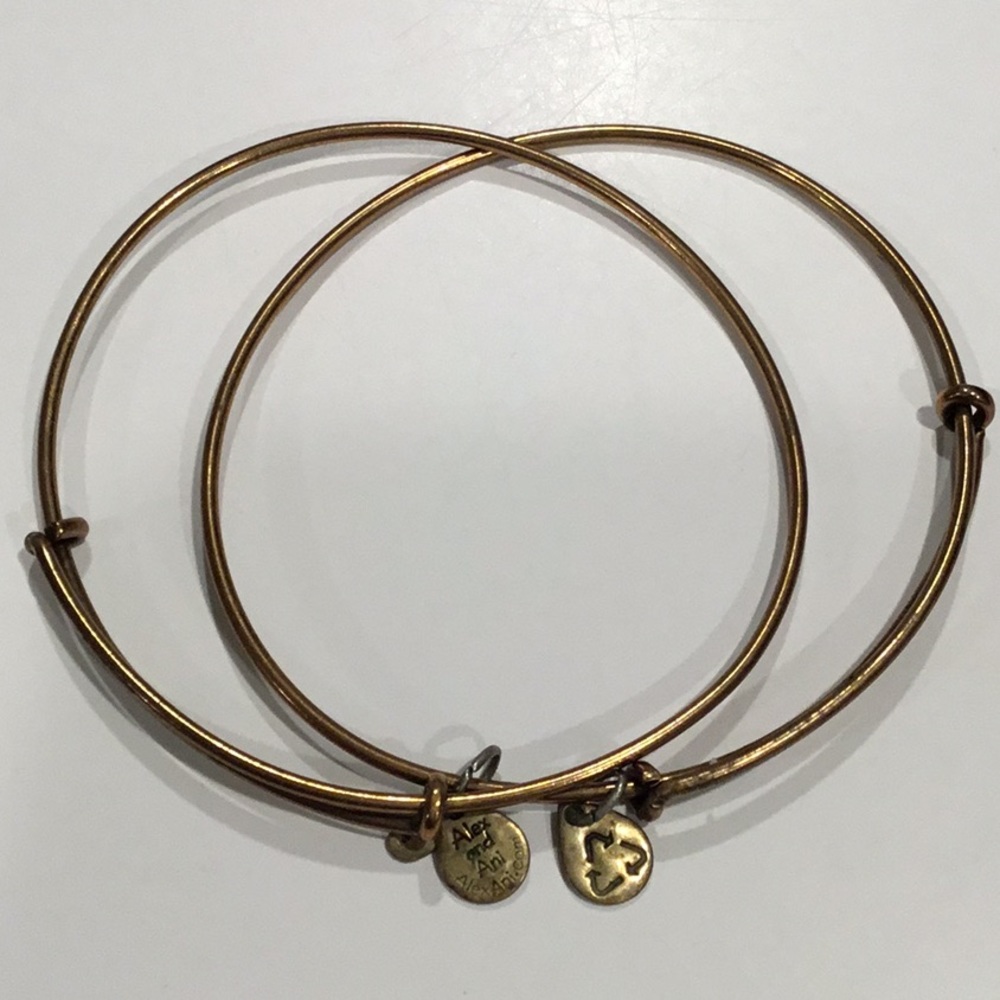 ⚠️3 for 10!! Set of Alex & Ani Bangles